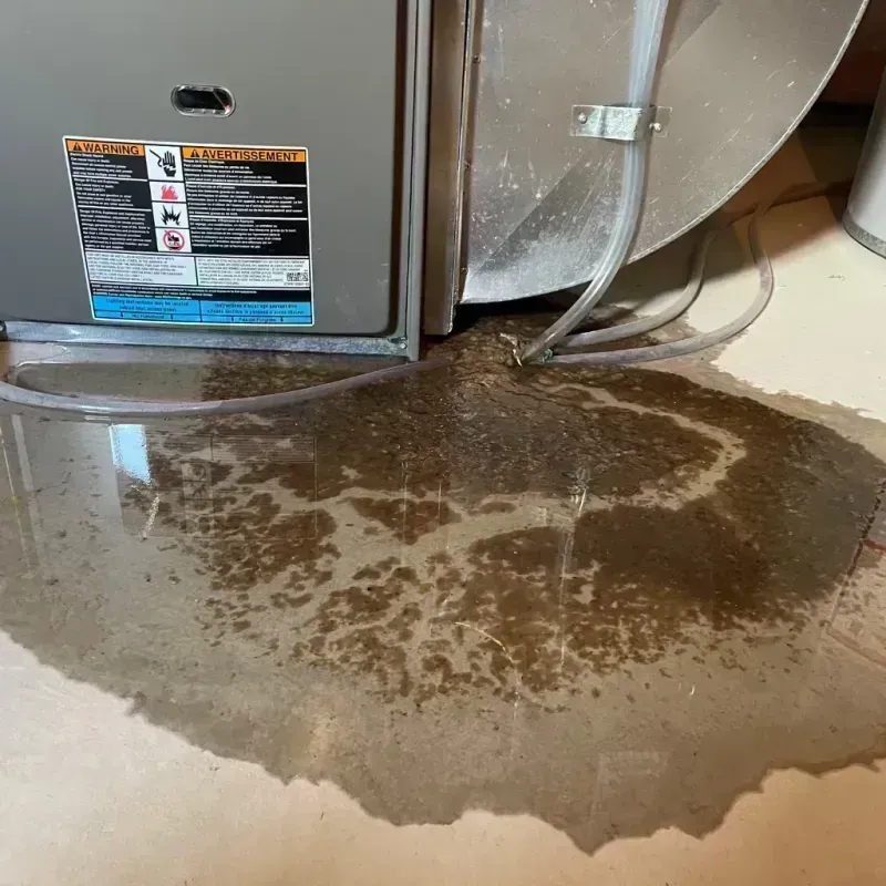 Appliance Leak Cleanup in Lemay, MO